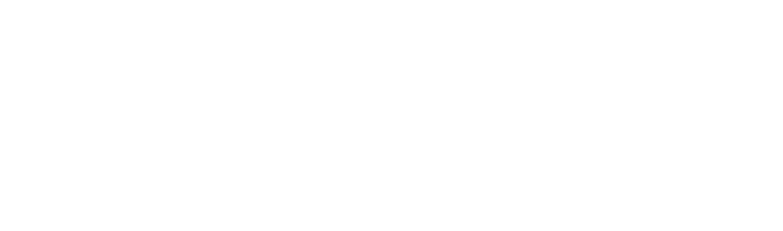SERVICIOS TROVE
